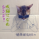 Illustration for article titled This Cat Cosplay Is Either the Cutest Thing I've Ever Seen or the Cruelest